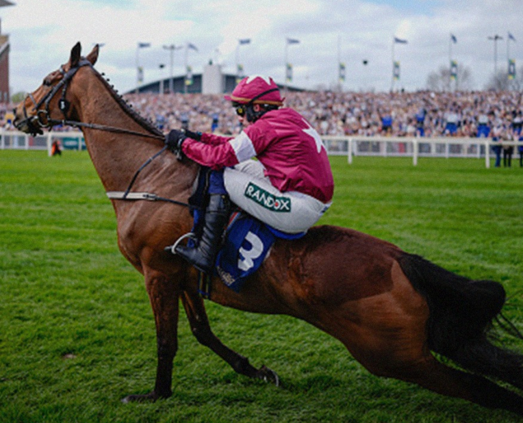 Horse Racing Wrongs