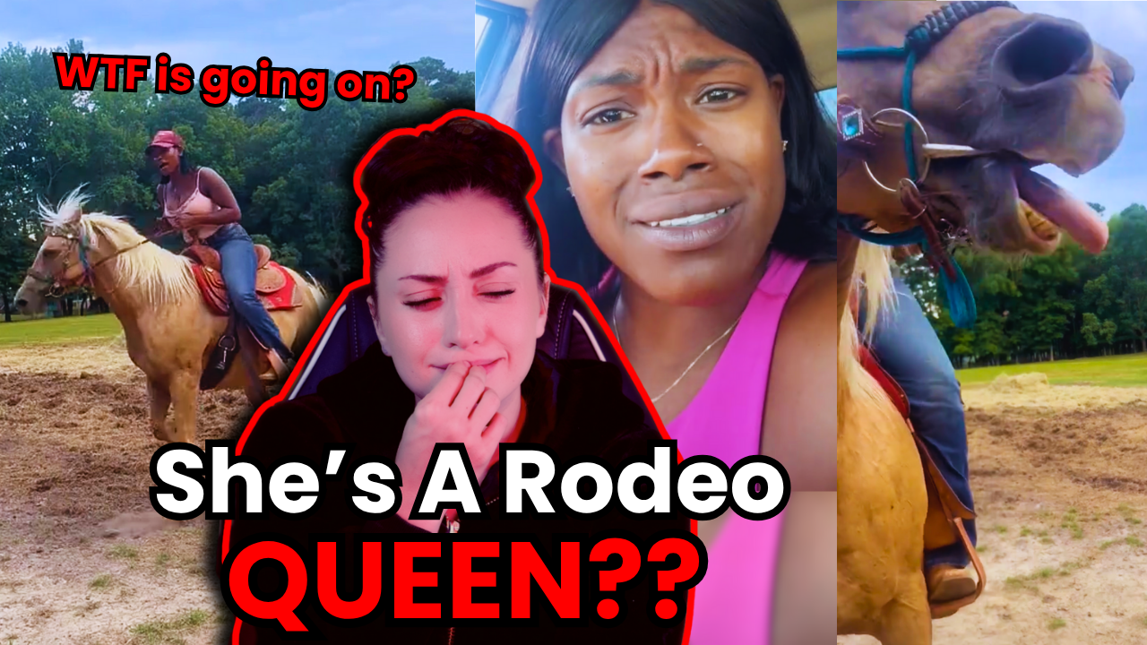 Load video: Raleigh Link Show, latest video!