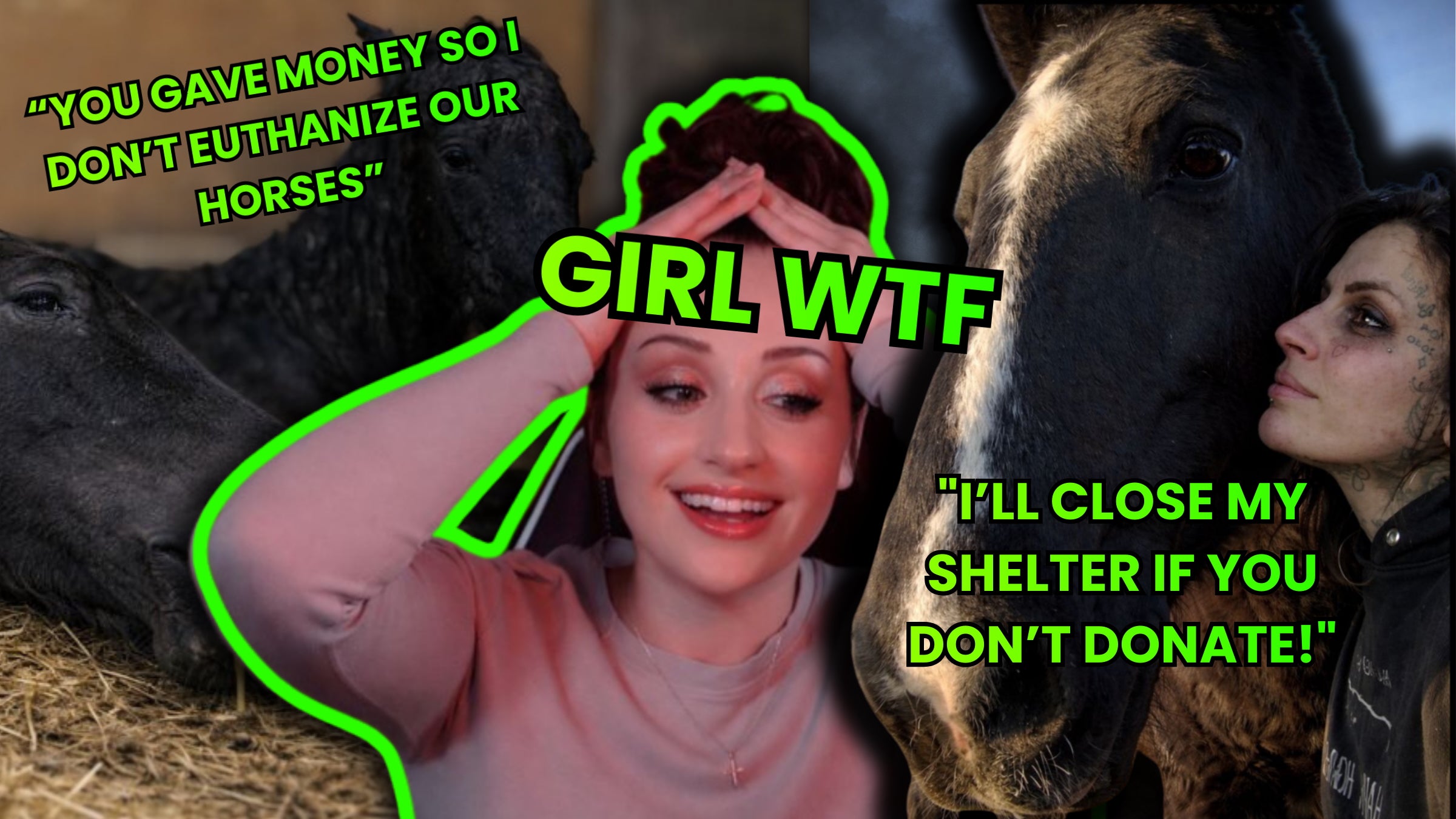 Load video: Raleigh Link Show, latest video!